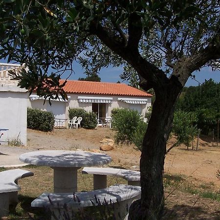 נרבון Le Fenouillet Chambres D'Hotes Proche Des Grands Buffets מראה חיצוני תמונה
